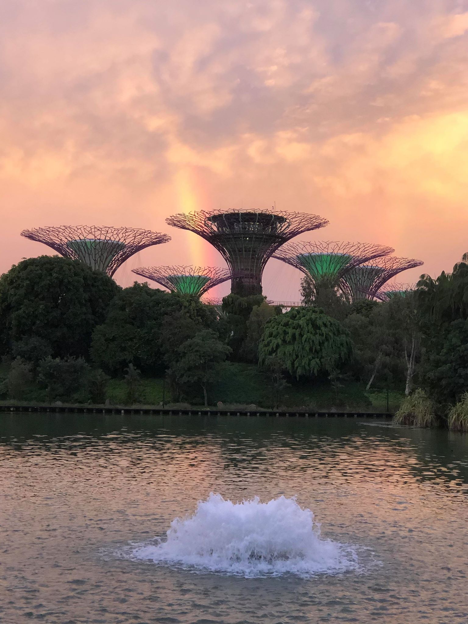 終わりと始まりに サーキットブレイカー最終日 虹のプレゼント Singapore Style